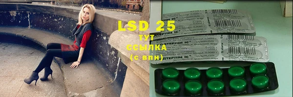 прущие крисы Вязьма