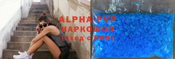 индика Вяземский