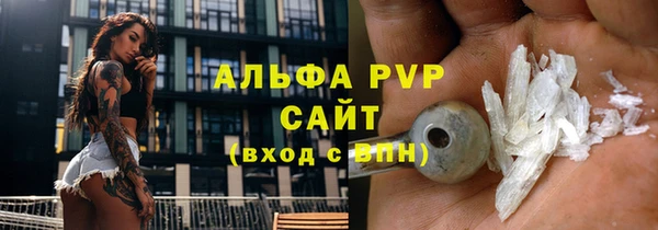 индика Вяземский