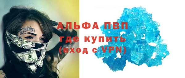 индика Вяземский