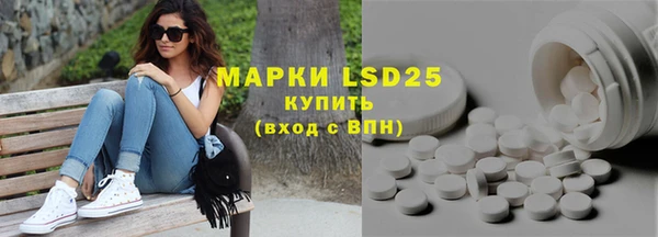 индика Вяземский