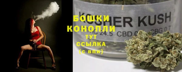 индика Вяземский