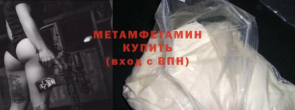 индика Вяземский