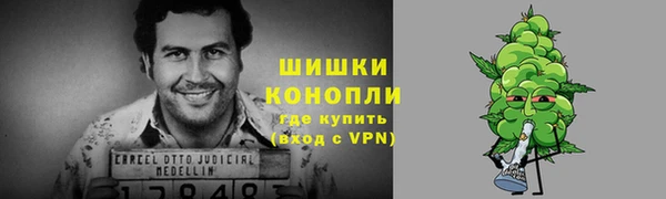 индика Вяземский