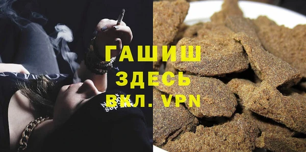 индика Вяземский