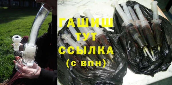 индика Вяземский