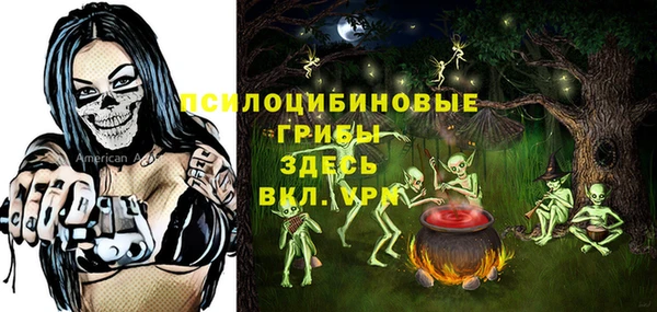 индика Вяземский