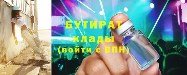 индика Вяземский