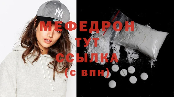 индика Вяземский
